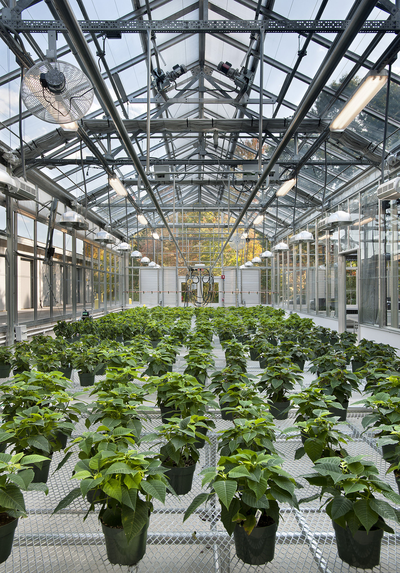 02 tskp vernon cleaves science agricultural center high school greenhouse plants 1400 xxx q85