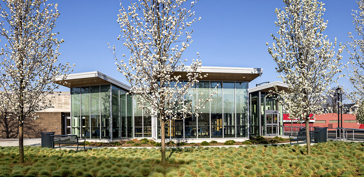 3 tskp hartford public library dwight parkville branch exterior trees bloom 1400 0x398x1238x602 q85